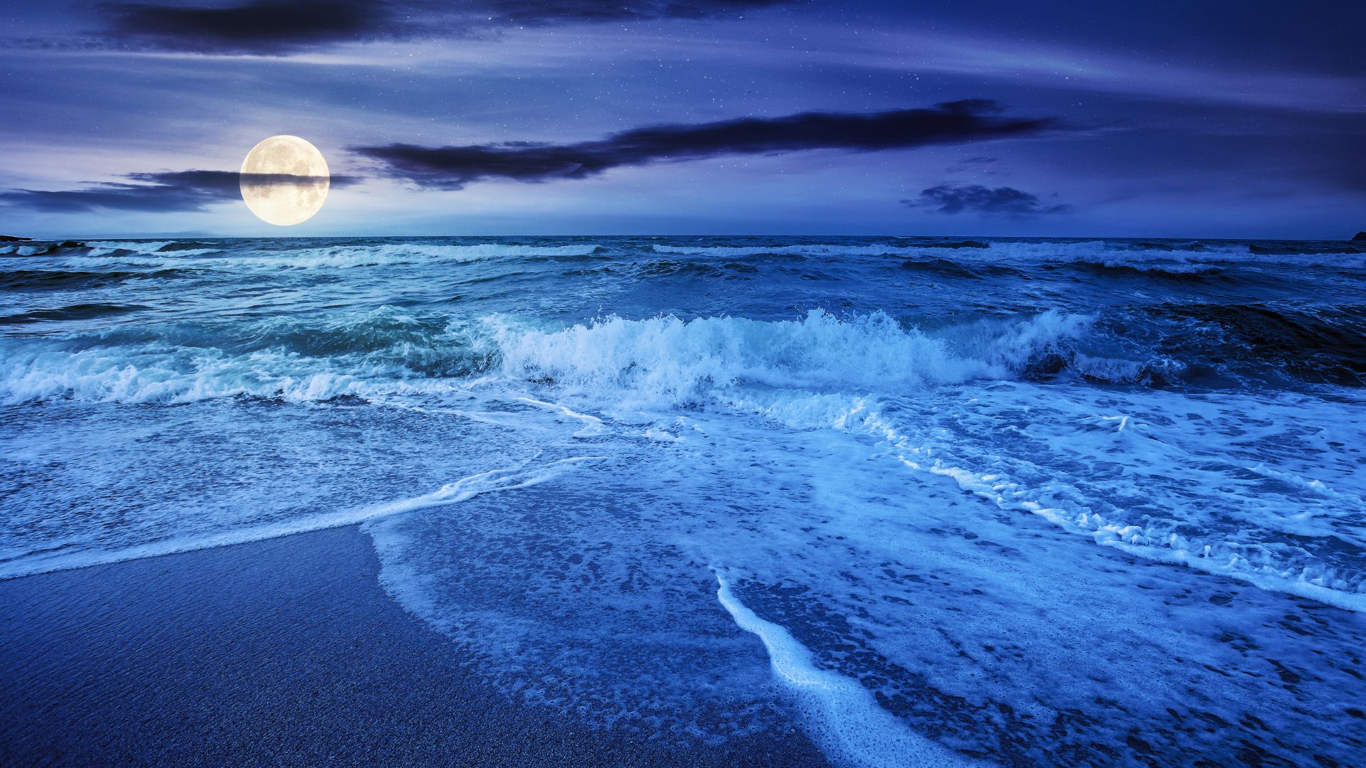 Website-Kompass für 0e