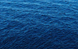 5da99e17-71f6-499c-a6df-1a999ca46fa3